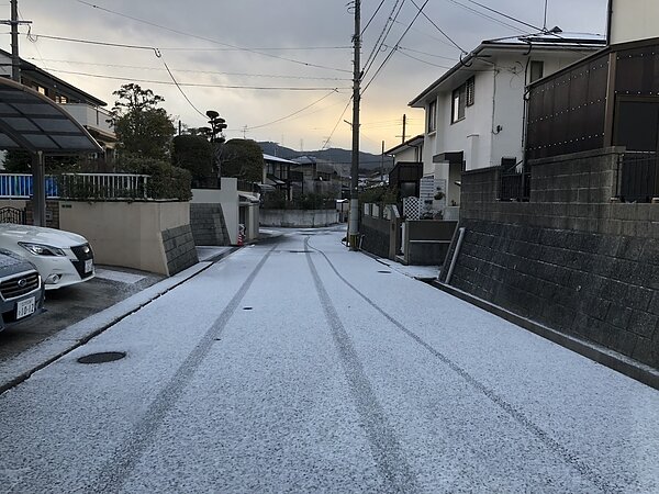 雪の画像